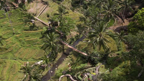 Puente-De-Madera-Sobre-El-Río-A-Las-Terrazas-De-Arroz-En-Bali,-Indonesia