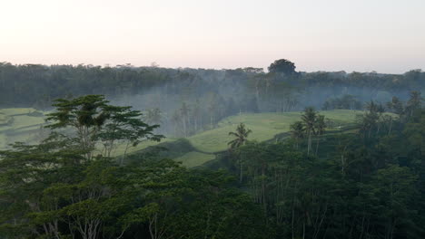 Vista-Aérea-De-Campos-En-Terrazas-En-Un-Día-Brumoso-En-Bali,-Indonesia---Disparo-De-Drones