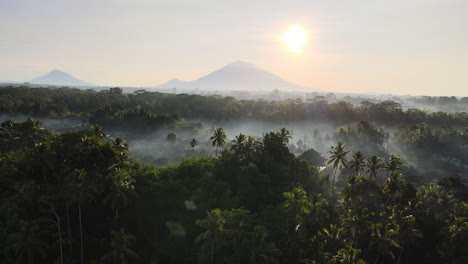 Village-With-Lush-Vegetation-On-A-Misty-Morning,-Mountains-And-Sun-On-The-Background-In-Rural-Bali,-Indonesia---aerial-drone-shot