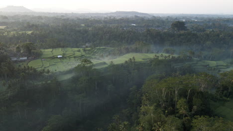 Paisaje-Brumoso-Con-Pintorescos-Campos-De-Arroz-En-Terrazas-En-Bali,-Indonesia---Toma-Aérea-De-Drones