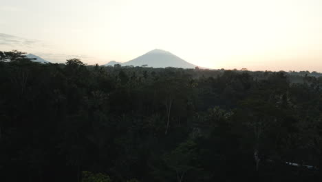 Nature-Landscape-Of-Oil-Palm-Plantation-And-Forest-On-A-Sunrise-In-Bali,-Indonesia-With-Mountain-In-Background