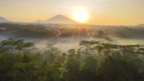 Heller-Goldener-Sonnenaufgang,-Der-Morgens-über-Dem-Nebligen-Wald-Scheint