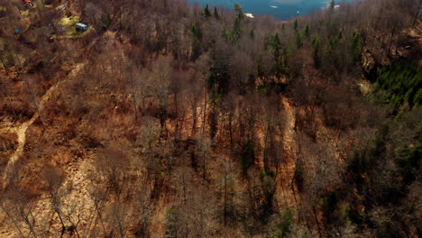 Vista-Aérea-Del-Bosque-En-Suecia