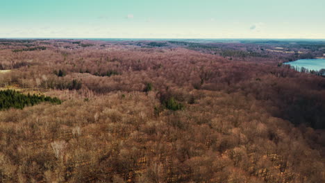 Luftbild-über-Dem-Schwedischen-Wald