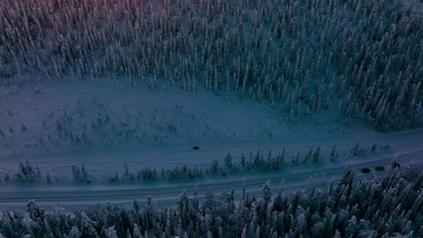 Aerial-view-of-a-motor-sledge-driving-in-a-snowy-mountain-valley,-winter-dusk-in-Lapland