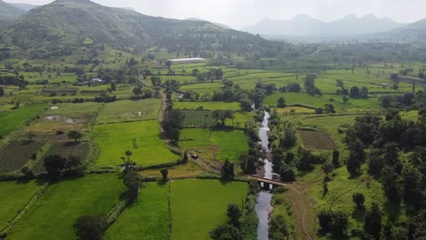 Campos-Indios-Verdes-En-Trimbakeshwar-Cerca-De-Nashik-En-Ghats-Occidentales-De-Maharashtra-En-India