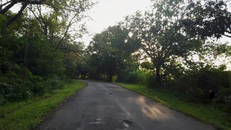 Pov-Conduciendo-A-Través-De-Un-Tranquilo-Camino-Rural-Con-Exuberante-Vegetación-En-Verano,-Nashik,-India