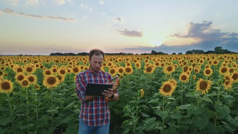 Científico-Agrícola-En-El-Campo-De-Girasol,-Evaluando-La-Calidad-Y-El-Rendimiento-De-La-Producción-De-Aceite-Con-Tecnología-Moderna