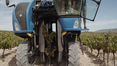 Detail-Shot-of-a-Blue-Grape-Harvester-Shaking-Vineyards-from-the-middle-in-Slow-Motion-60fps