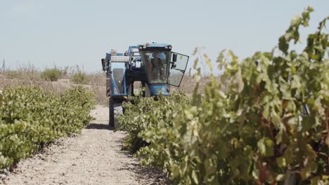 Blue-Grape-Harvester-Working-in-Vineyards-in-Spain-Recorded-From-The-Left-Side-in-Slow-Motion-60fps