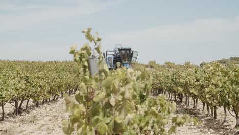 Blue-Grape-Harvester-Working-in-Vineyards-in-Spain-in-a-Windy-Day-in-Slow-Motion-60fps