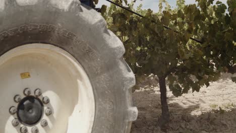 Detail-Side-Shot-of-a-Blue-Grape-Harvester-Shaking-Vineyards-in-Spain-in-Slow-Motion-60fps