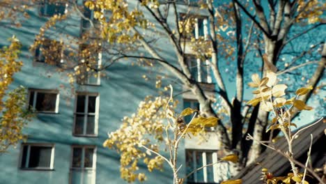 Autumnal-background-of-real-estate-in-a-residential-area-with-no-people,-backdrop-of-buildings-during-autumn-with-copy-space