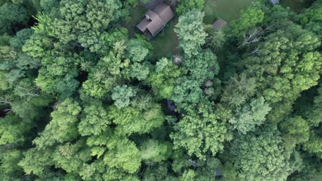 Drohne-Erfasst-Die-Luftaufnahmen-Der-Ländlichen-Gegend,-Wo-Die-Häuser-Von-Zahlreichen-Bäumen-Umgeben-Sind