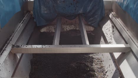 Detail-shot-of-a-truck-unloading-grape-and-grape-juice-in-a-hopper-in-a-winery-for-wine-production-in-slow-motion-60fps