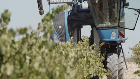 Detail-shot-of-a-blue-grape-harvester-working-in-vineyards-in-Spain,-recorded-from-the-right-side-in-slow-motion-60fps