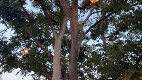 Chandelier-Tree-In-Los-Angeles