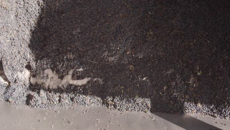 Detail-shot-of-a-screw-conveyor-pushing-grape-and-grape-juice-in-a-hopper-for-wine-production-in-slow-motion-60fps