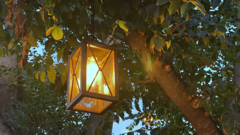 Cierre-La-Lámpara-De-Araña-Que-Cuelga-De-Un-árbol-En-Un-Barrio-De-Los-Ángeles-Por-La-Noche