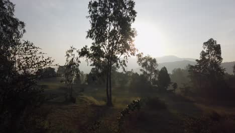 Driving-On-The-Road-On-A-Misty-Early-Morning