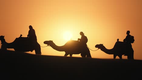 Camels-during-sunrise-in-dubai