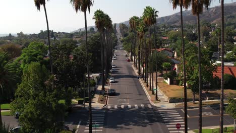 Flying-along-a-neighborhood-street-of-homes-in-Burbank,-California-lined-with-iconic-palm-trees