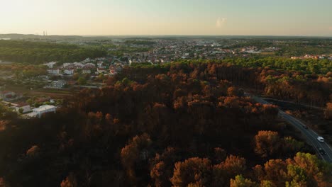 Aerial-view-of-burnt-forest-near-a-town-during-golden-hour---tracking,-drone-shot