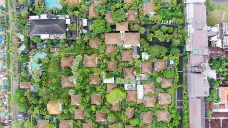 Small-villas-hidden-in-tropical-palm-forest-near-Kuta-beach-in-Bali,-aerial-top-down-view