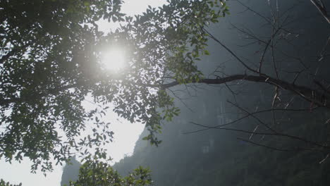 Daylight-peaking-through-tree-leaves-in-the-mountains-of-Guilin,-China