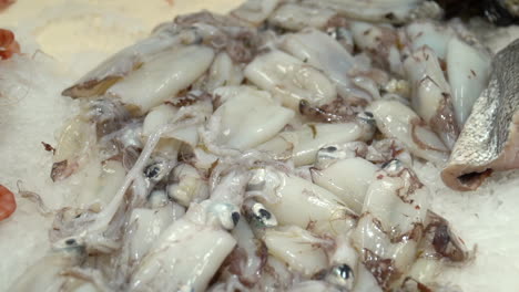 Fresh-Squid-in-market-cooled-with-ice