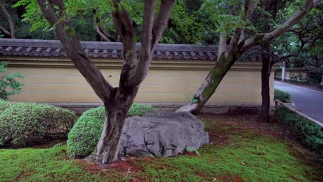 Los-Jardines-Japoneses-Son-De-Una-Gran-Belleza-Ya-Que-Combinan-Magistralmente-Piedras,-Plantas-Y-Musgos-Dando-Una-Sensación-De-Paz-Y-Bienestar-Muy-Profunda