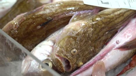 Frischer-Fisch,-Der-Auf-Dem-Markt-Verkauft-Wird