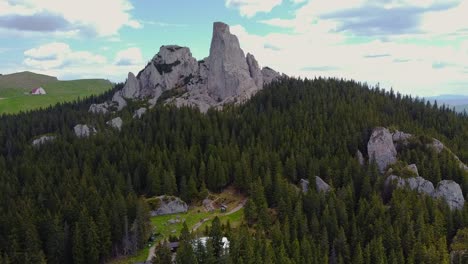 Caballo-Ligeramente-Manchado-En-El-Camino