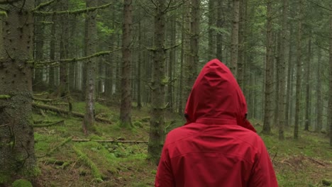 Slow-follow-shot-of-a-hiker-person-with-a-red-hood-walking-in-a-green-thick-forest-in-slow-motion