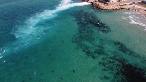 Aerial-view-of-sanbar-and-dusky-sharks-attracted-by-warm-water-pumped-into-the-sea-from-a-a-power-plant-on-the-coast-of-Hadera,-Israel---tilt,-drone-shot