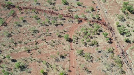 Aerial-view-of-people-in-the-Freedom-Day-Festival-march-in-the-remote-community-of-Kalkaringi,-Northern-Territory,-Australia