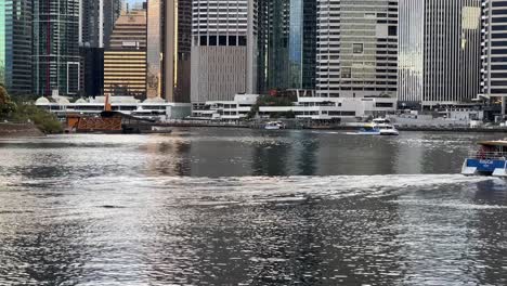 Brisbane-public-transportation-river-ride,-citycats-ferry-cruising-towards-business-central-district-riverside-terminal-during-the-day-with-shimmering-river-water-reflection,-Queensland,-Australia