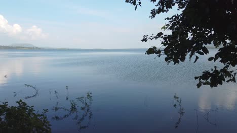 Idyllic-Nature-With-Calm-Lake-And-Dense-Tropical-Forest