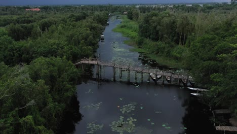 Aeriiall-view-of-tourist-canoes-under-wooden-bridge-made-from-mangrove-wood-over-a-canal-or-small-river-in-the-Mekong-delta,-Vietnam-in-late-afternoon