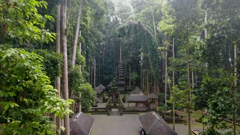 Hidden-temple-of-Sangeh-in-middle-of-dense-Bali-jungle,-aerial-fly-backward