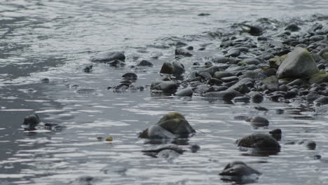 Water-hitting-rocks-on-a-river-shore-in-Guilin,-China