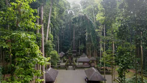 Sangeh-temple-in-middle-of-jungle,-aerial-cinematic-fly-forward-during-sunshine