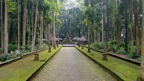 Iconic-pathway-in-middle-of-jungle-forest-leading-toward-Sangeh-temple,-low-altitude-fly