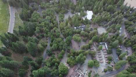 Shot-at-the-Yosemite-National-Park,-showing-an-aerial-view-of-green-trees-and-the-road