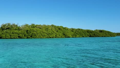 Sail-on-blue-water-crystal-sea-watch-tropical-wildlife-Mangove,-Los-Roques