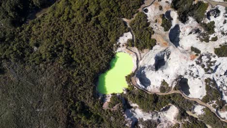 Beauty-of-nature,-volcanic-valley-of-Waiotapu,-New-Zealand