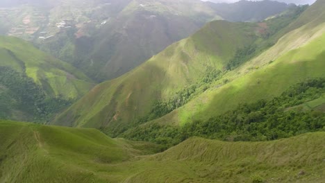 Hermoso-Bosque-Verde-Tropical