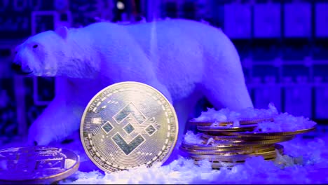 Glänzende-Binance-münze,-Schneefall-Auf-Bär-Und-Altcoin,-Kaltes-Blaues-Licht,-Krypto-winterkonzept,-Nahaufnahme