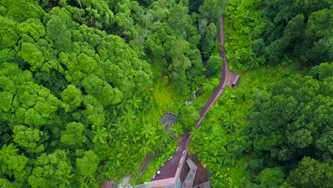 Drone-ascent-revealing-the-lush-jungle-landscape-surrounding-the-Caldera-Velha-de-Sao-Miguel,-Azores