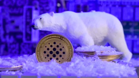 Moneda-Física-Cardano-Ada-Con-Oso-Polar-Blanco,-Nieve-En-La-Placa-Base,-Fondo-Azul